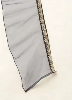 Dupatta From Blue Velvet Embroidered Gown With Dupatta After Six Wear -Deals Chic Lehenga Store Blue Velvet Embroidered Gown With Dupatta IWBS02212536 rrc4 1