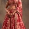 Dusty Red Organza Floral Digital Print Umbrella Lehenga Party Wear