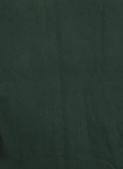 Green Georgette Pleated Ruffle Saree Festive Wear -Deals Chic Lehenga Store Green Georgette Pleated Ruffle Saree SABS02301091 rrc2