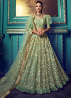Green Net Umbrella Lehenga Party Wear -Deals Chic Lehenga Store Green Net Umbrella Lehenga GHSCC40824108 u