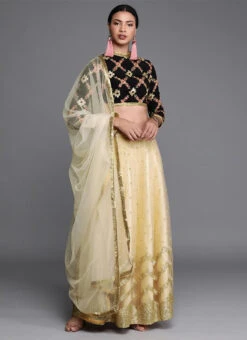 High Neck Beige Embroidered Knife Pleat Lehenga Festive Wear -Deals Chic Lehenga Store High Neck Beige Embroidered Knife Pleat Lehenga GHBS01911594 u