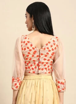 Light Peach Embroidered Chiffon Blouse Party Wear -Deals Chic Lehenga Store Light Peach Embroidered Chiffon Blouse BLBS02301968 b