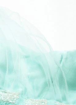 Skirt From Light Sea Green Net Skirt Set After Six Wear 11 Skirt From Light Sea Green Net Skirt Set After Six Wear -Deals Chic Lehenga Store Light Sea Green Net Skirt Set IWBS02212470 rrc1