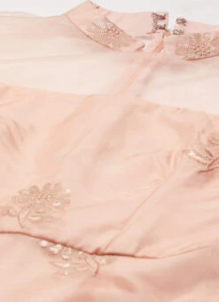 Peach Organza Embroidered Midi Dress After Six Wear 12 Peach Organza Embroidered Midi Dress After Six Wear -Deals Chic Lehenga Store Peach Organza Embroidered Midi Dress DRBS02205053 rrc1