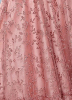 Pink Embroidered Net Corset Style Dress Party Wear 14 Pink Embroidered Net Corset Style Dress Party Wear -Deals Chic Lehenga Store Pink Embroidered Net Corset Style Dress DRBS02301106 rrc3