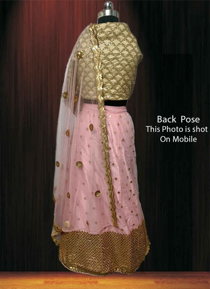 Pink Net Umbrella Lehenga Party Wear 4 Pink Net Umbrella Lehenga Party Wear - Image 4