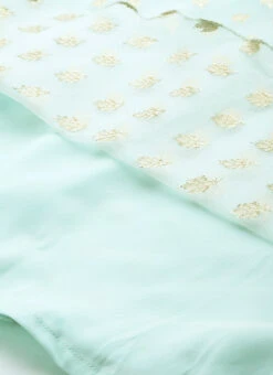 Sky Blue Organza Jacquard Dress Festive Wear -Deals Chic Lehenga Store Sky Blue Organza Jacquard Dress DRBS02303569 rrc4