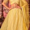 Yellow Net Embroidered And Sequins Umbrella Lehenga Party Wear