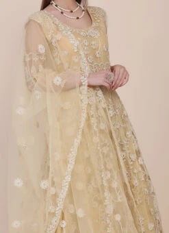 Beige Net Embroidered Work Anarkali Suit Party Wear