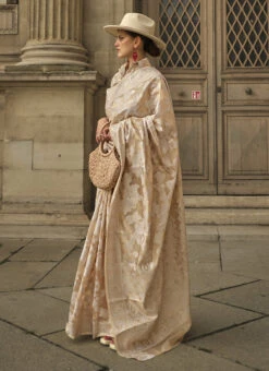 Beige Organza Chikankari Saree Festive Wear 6 Beige Organza Chikankari Saree Festive Wear -Deals Chic Lehenga Store beige organza chikankari saree sasgf342004 u