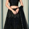 Black Net Embroidered Umberlla Lehenga Party Wear