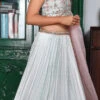 Light Grey Pure Silk Hand Work A Line Lehenga Party Wear