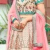 Cream Printed A Line Lehenga Party Wear
