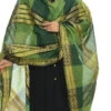 Green Handloom Cotton Weaving Work Dupatta Work Wear