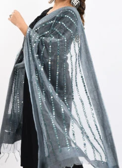 Grey Organza Cotton Mirror Embroidery Dupatta Work Wear