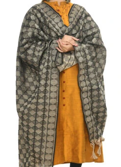 Handloom Cotton Black Weaving Work Dupatta Work Wear