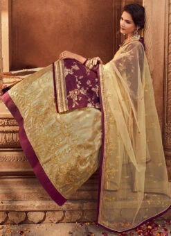 Maroon N Beige Net Umbrella Lehenga Party Wear 7 Maroon N Beige Net Umbrella Lehenga Party Wear -Deals Chic Lehenga Store maroon n beige net umbrella lehenga ghsaj1703 b