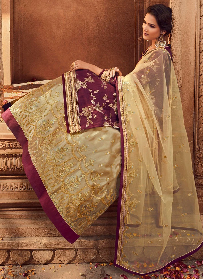 Maroon N Beige Net Umbrella Lehenga Party Wear 4 Maroon N Beige Net Umbrella Lehenga Party Wear - Image 4