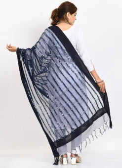 Navy Blue Organza Cotton Mirror Embroidery Dupatta Work Wear -Deals Chic Lehenga Store navy blue organza cotton mirror embroidery dupatta dpdmimfd129 b