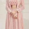 Pink A Line Lehenga With Jacket Georgette Embroidery Work Party Wear